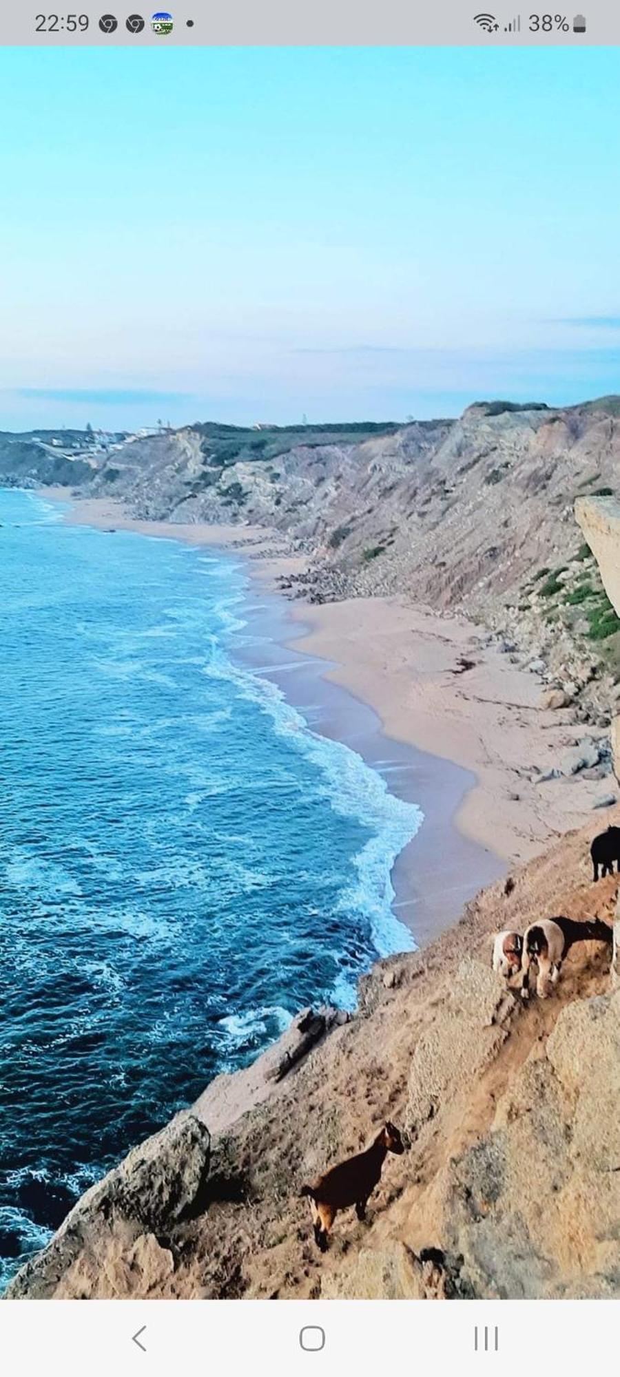 Casa Do Portao Azul - Espadarte Atouguia Da Baleia Kültér fotó